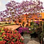 Casa Schuck Boutique Hotel