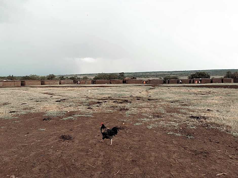 Fig Tree Camp - Maasai Mara