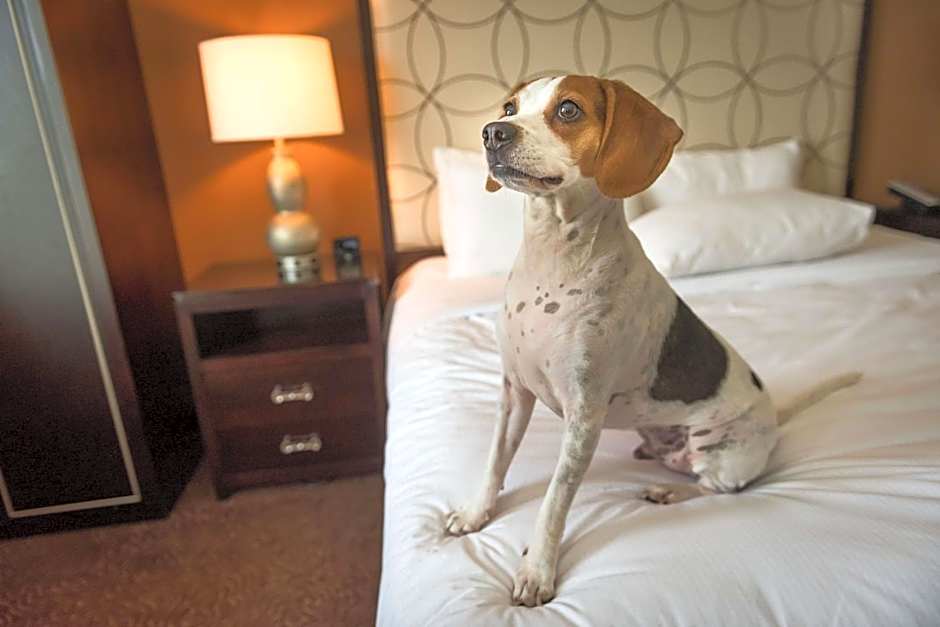 Hilton Baton Rouge Capitol Center