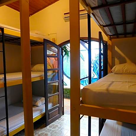 Bunk Bed in Mixed Dormitory Room