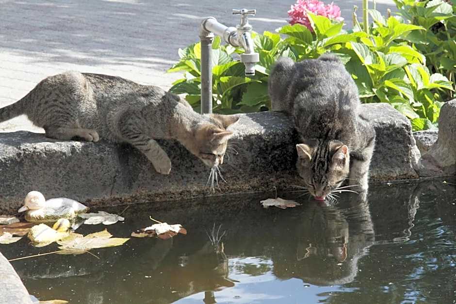 Landhotel Zur Guten Einkehr