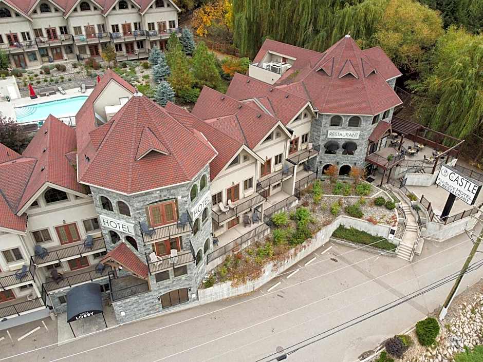 The Castle at Swan Lake