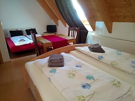 Vierbettzimmer-Familie-Ensuite mit Dusche-Blick auf den Hof-Zimmer Nr. 7