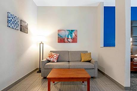 1 King Bed, Suite, Nonsmoking, Accessible