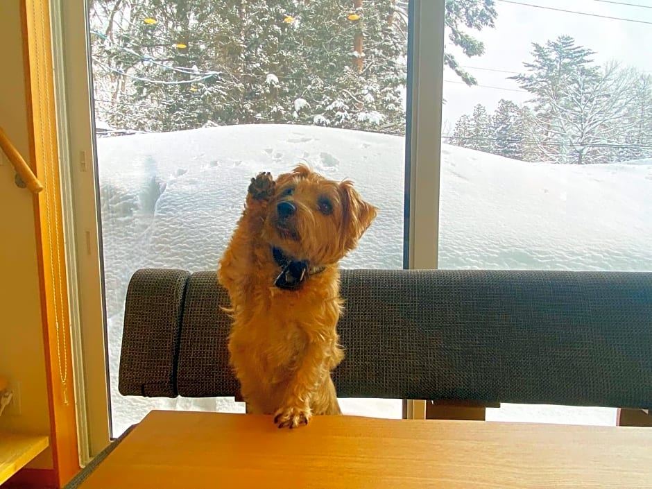 Hakuba Powder Mountain