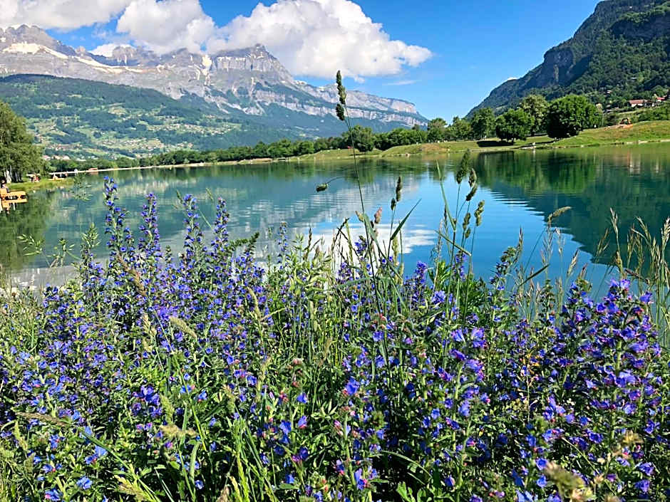 Le Moulin des Olirics