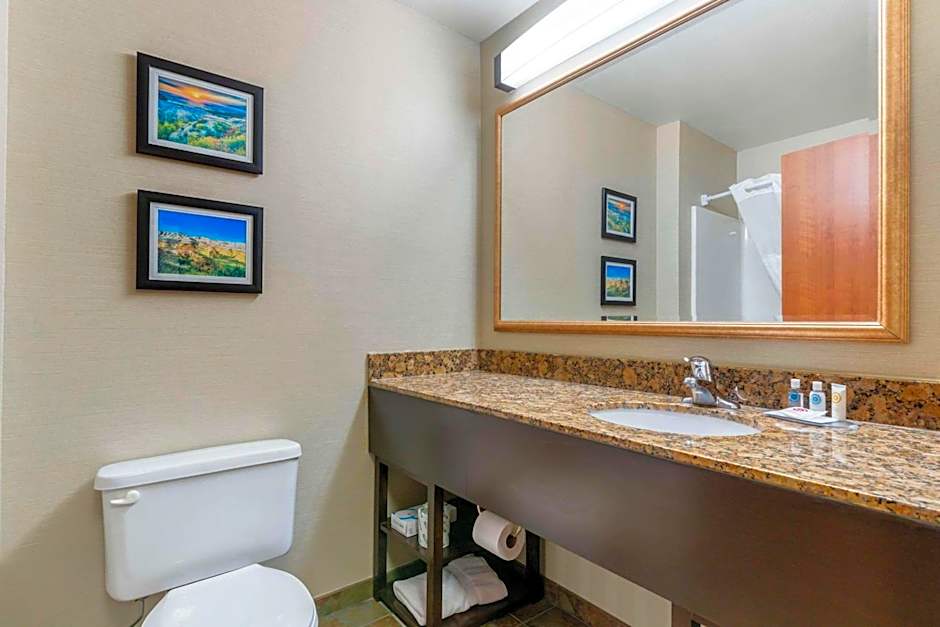 Comfort Inn & Suites Mitchell I-90