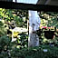 Rosebridge House Bed & Breakfast