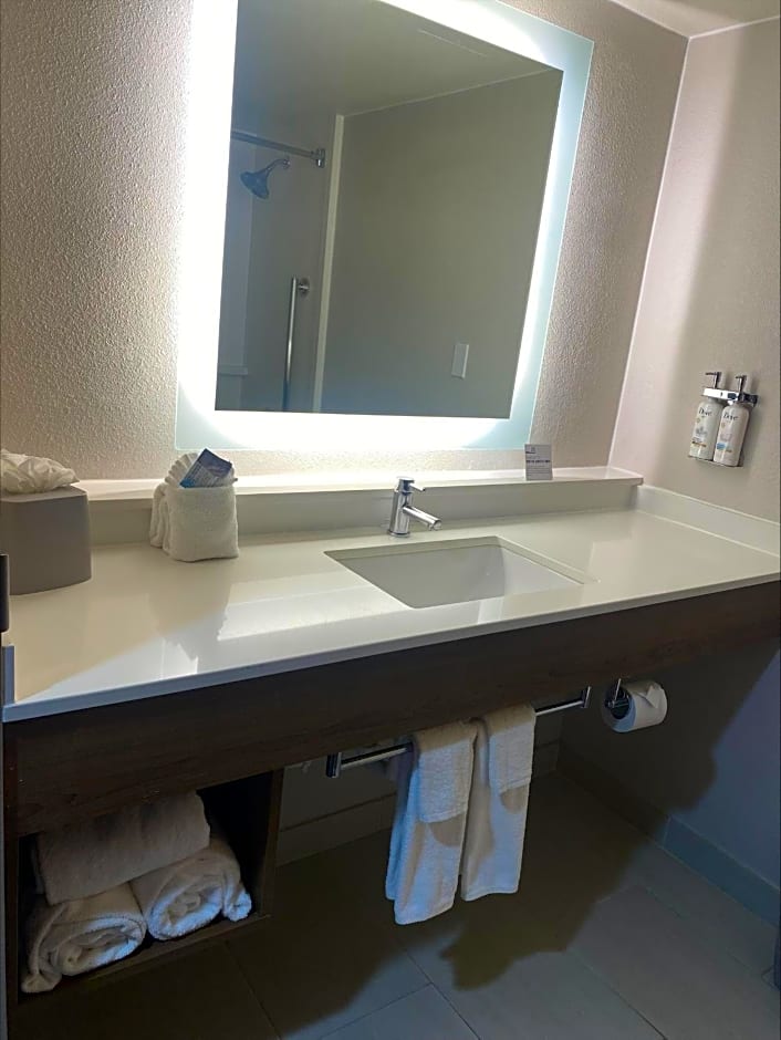 Holiday Inn Express Hotel and Suites Mesquite By IHG