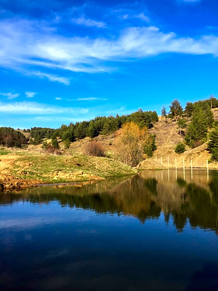 Park Hotel Eagle Stone