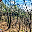 The Lookout Lodge