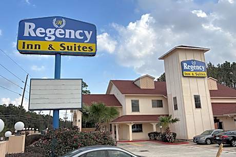 Regency Inn & Suites By Capital O Houston IAH Airport