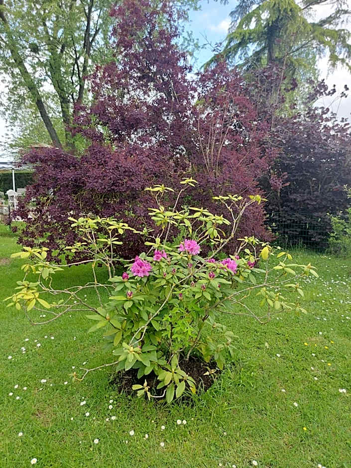 Villa Maëlla en Normandie- chambres tout confort - SPA