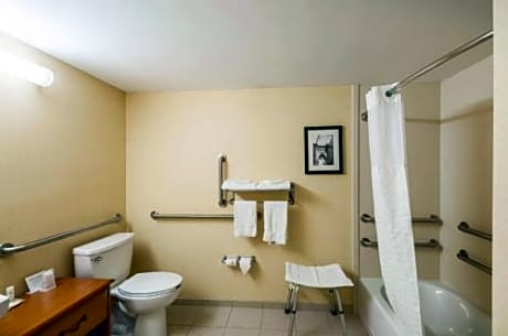 King Room with No Roll-in-Shower - Accessible/Non-Smoking