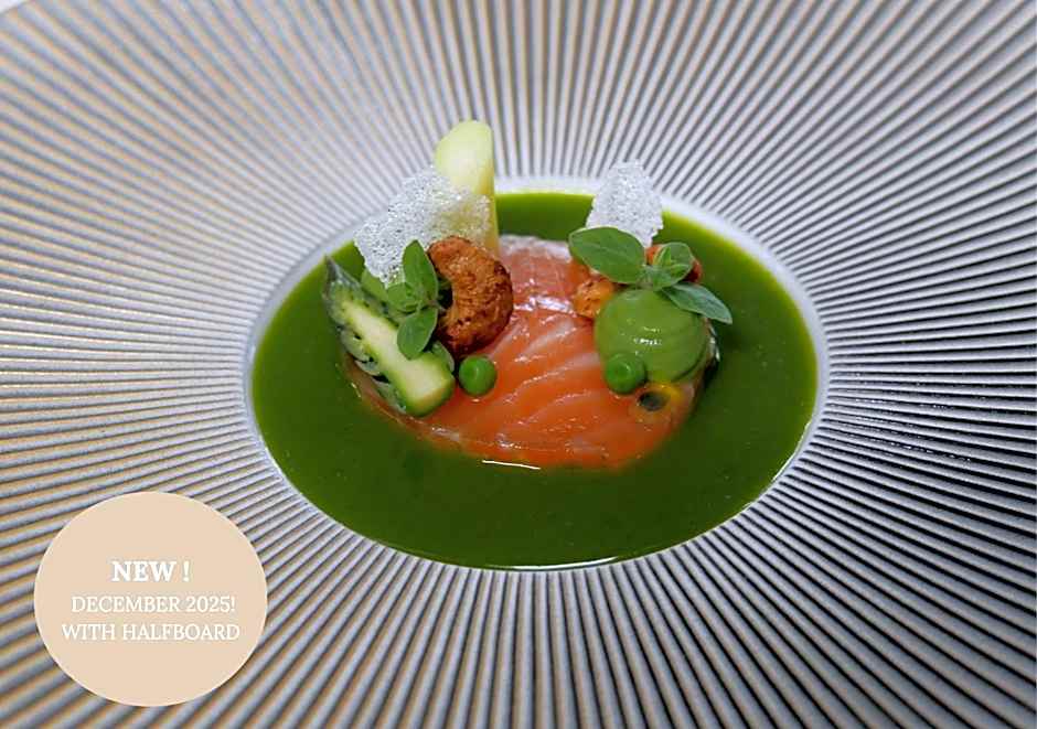 Apartment Hotel Elvis