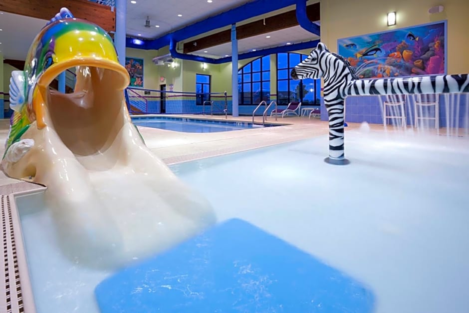 Holiday Inn Express Hotel & Suites Rogers By IHG