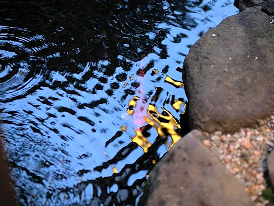 Tsuruya / Vacation STAY 59061