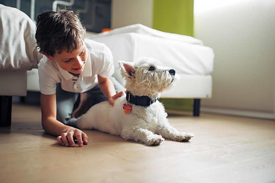 Harry's Home Hotel Munich