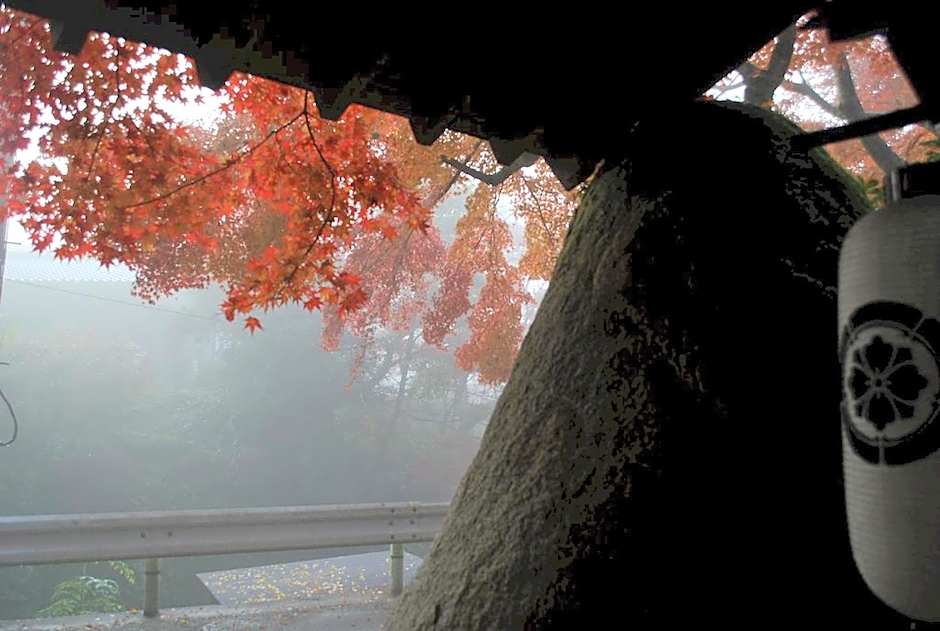 Akizuki Spa Ryokan Seiryuan