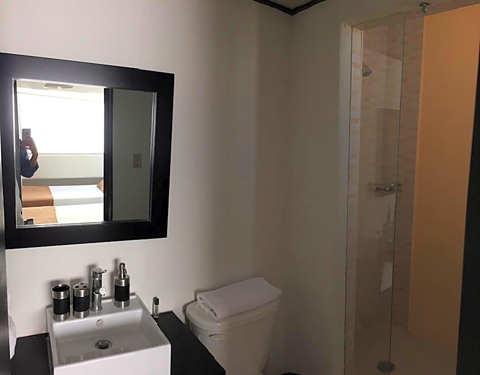 Bosque de Magnolias 93