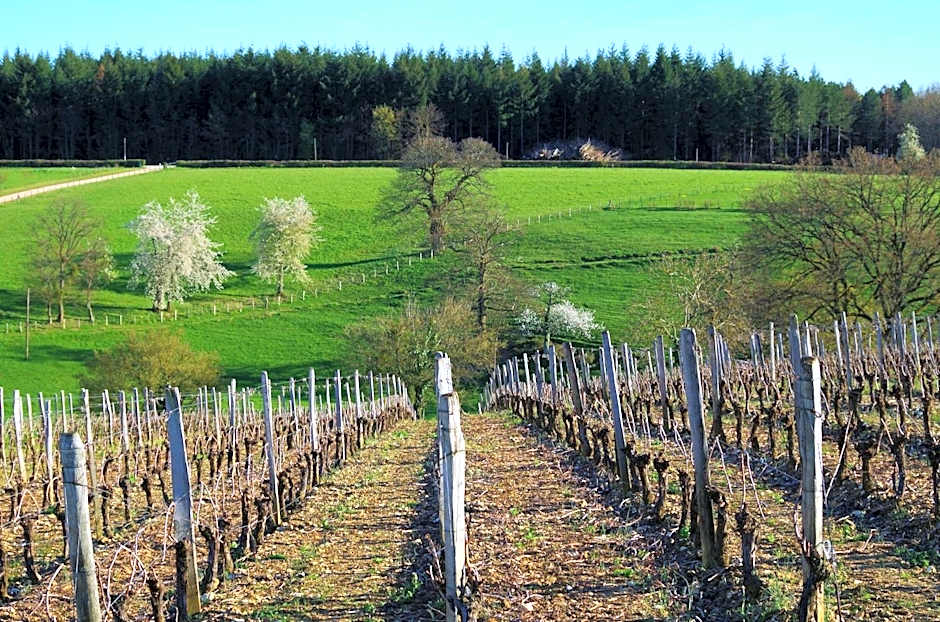 Domaine Joseph LAFARGE Wine Resort B&B