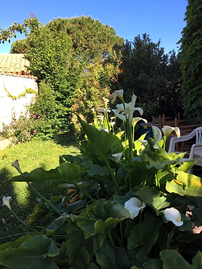 Chez Marydidou : Chambres d'hôtes