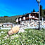 Apartamentos La Montaña
