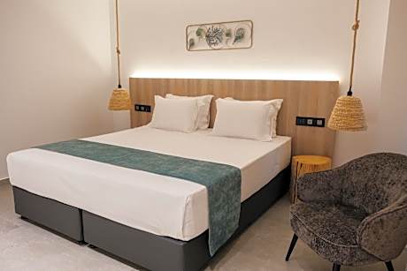 Deluxe Double or Twin Room with City View