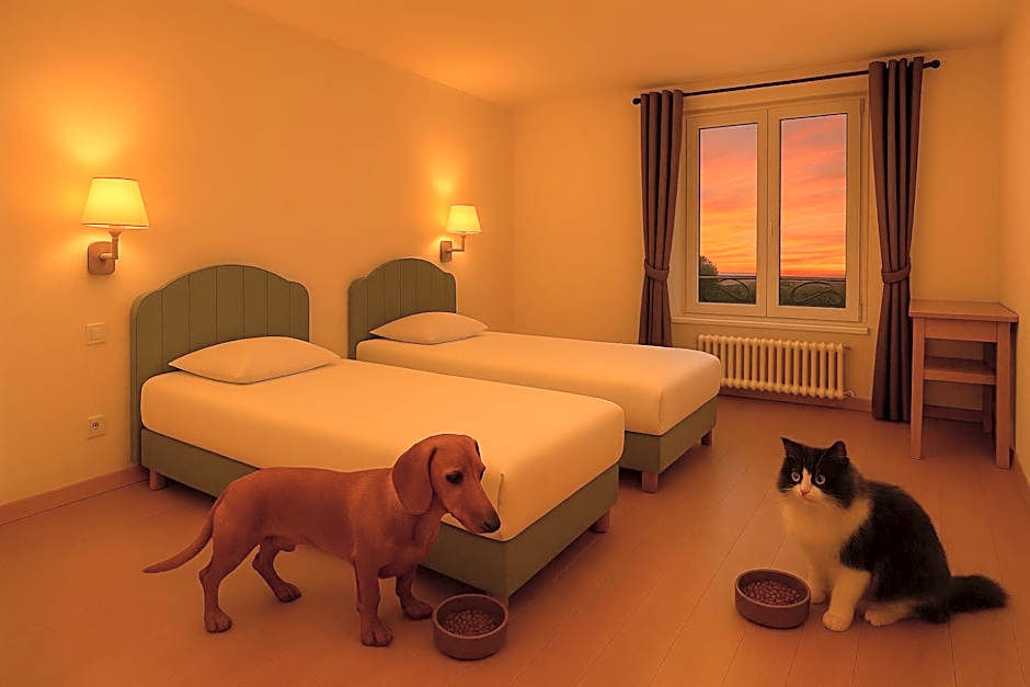 Hôtel du cirque Troyes centre historique