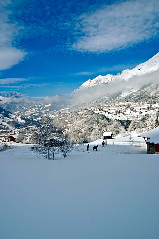 Huber Hotel Tramserhof