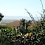 A1 Kynaston Guest House bed and breakfast or self catering