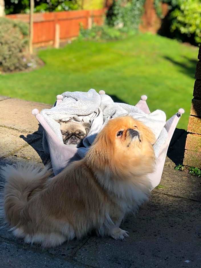 Westbourne Lodge Birmingham