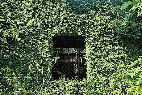 Mixed Dormitory Room