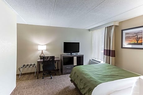 Queen Room - Accessible/Nonsmoking