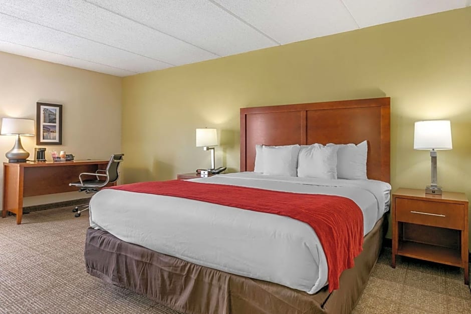 Comfort Inn Downtown Lookout Mountain Chattanooga