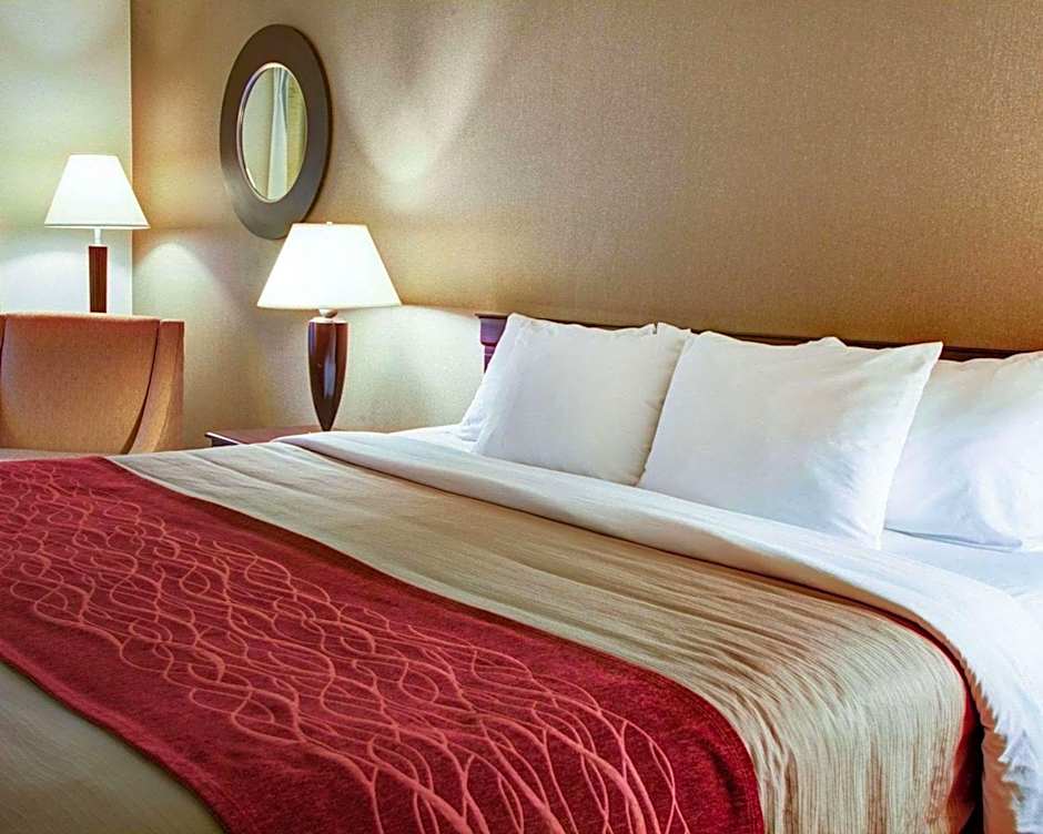 Quality Inn Florence