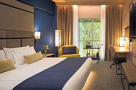 Executive King Room with City View