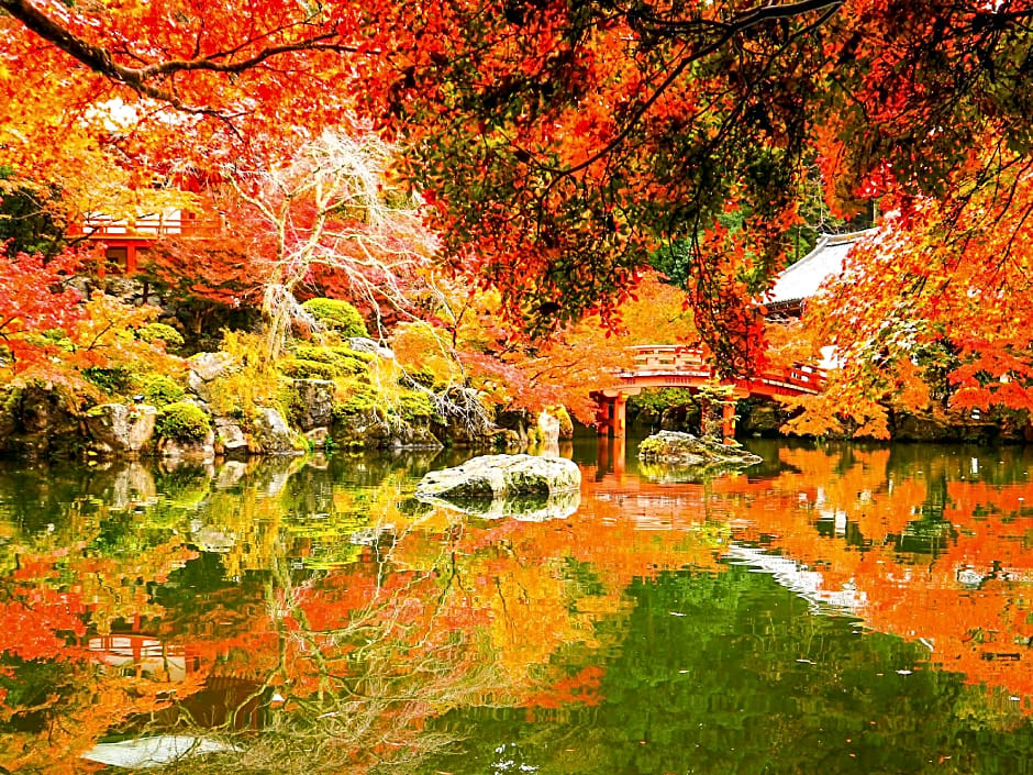 eph KYOTO