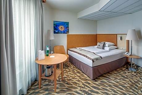 Single Room with Terrace