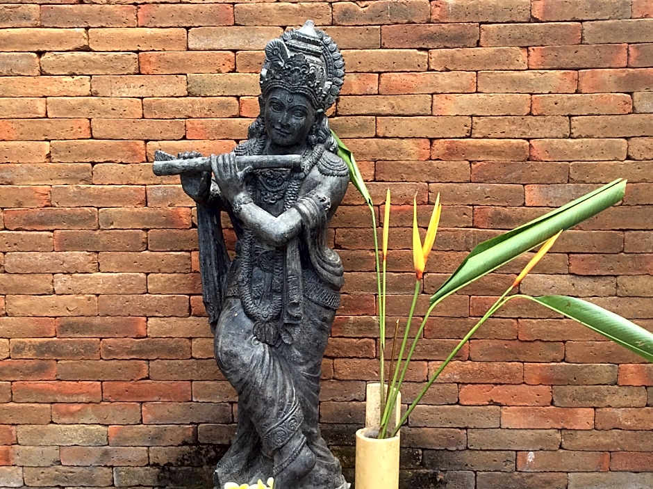 Ayu Love and Harmony Guest House
