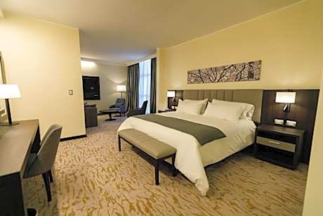 Junior King Suite with Seating Area