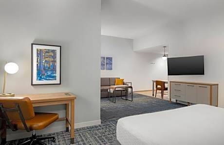 1 King Bed Studio Suite Nonsmoking