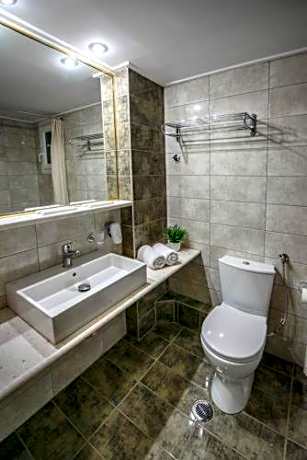 Deluxe Double or Twin Room with River View