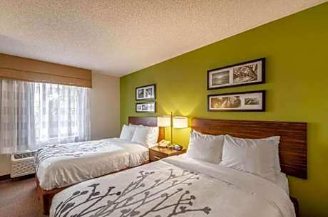 Superior Double Room with Two Double Beds - Non-Smoking