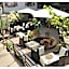 Romantisches Hotel Menzhausen