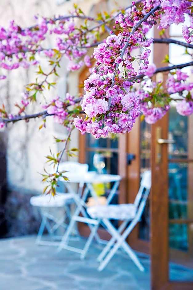 Feniks Agro&Spa Adults Only