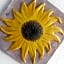A1 Girasole B&B