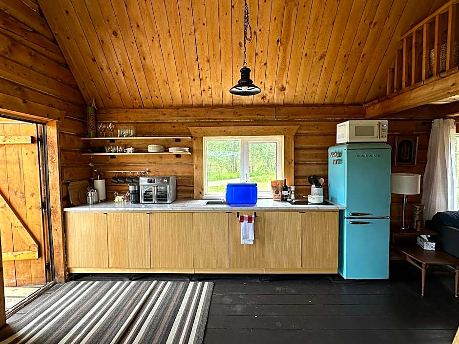 Dry Log Cabin with Mountain Views