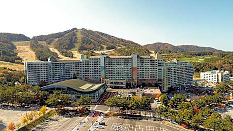 Wellihilli Park Resort