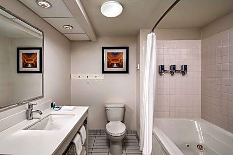 Suite, 1 Bedroom (1 King Bed and 1 Double Sofa Bed)